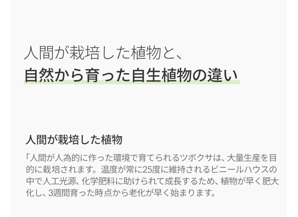 シグネチャーエストゥードプロテクター5.2/DEMAR3/美容液を使ったクチコミ（3枚目）
