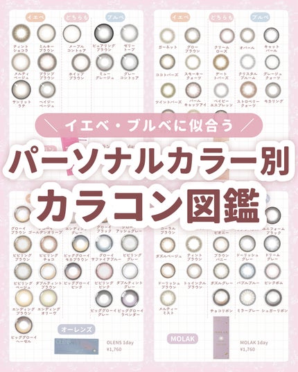 エバーカラーワンデー ナチュラル/エバーカラー/ワンデー(1DAY)カラコンを使ったクチコミ(1枚目)
