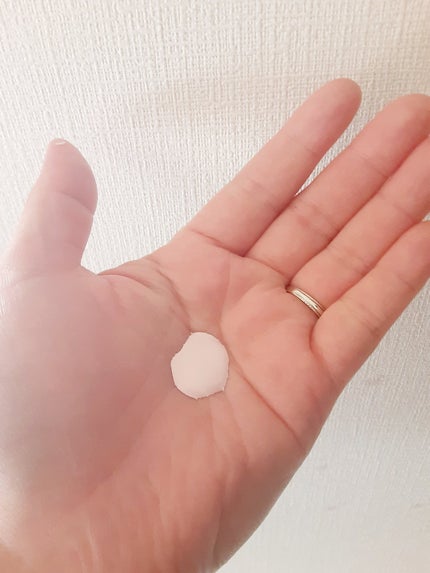 モイスチュアライジング プライマー/PAUL & JOE BEAUTE/化粧下地を使ったクチコミ(2枚目)