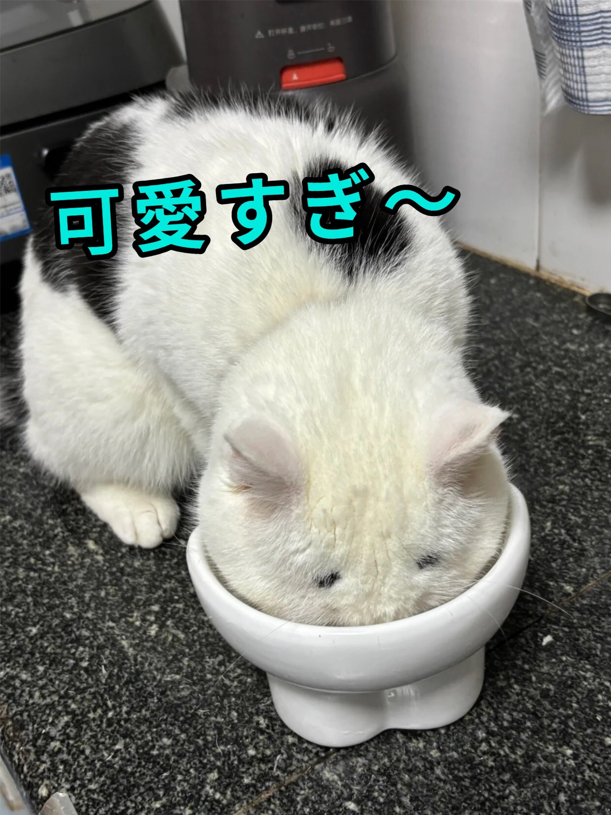 アネトス バランシング トリートメントクリーム/Anetos/フェイスクリームを使ったクチコミ（1枚目）