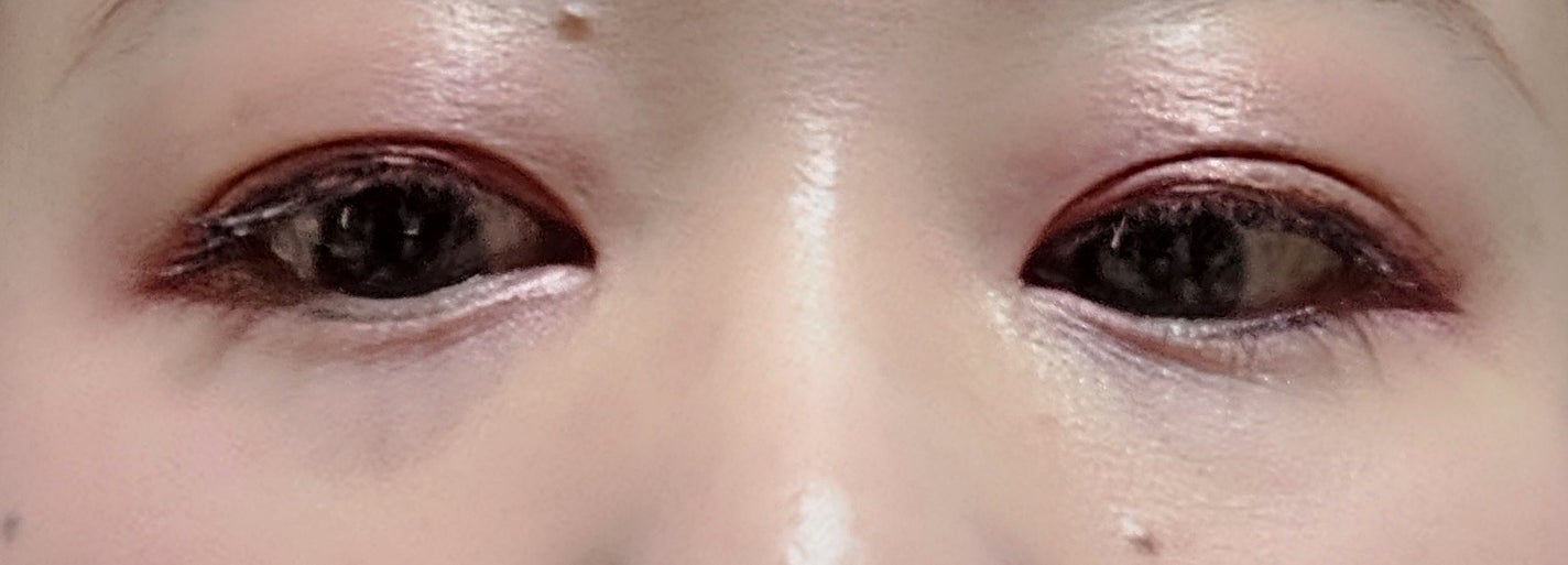 THREE ジュビリーコレクション パレット/THREE/アイシャドウパレットを使ったクチコミ(3枚目)