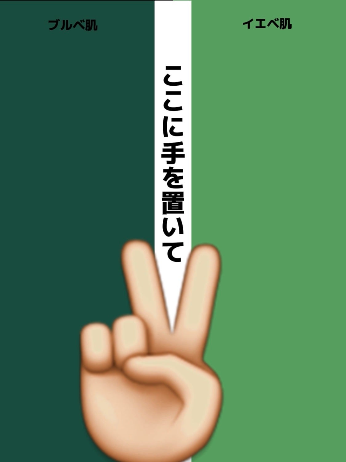 アネトス バランシング トリートメントクリーム/Anetos/フェイスクリームを使ったクチコミ(2枚目)