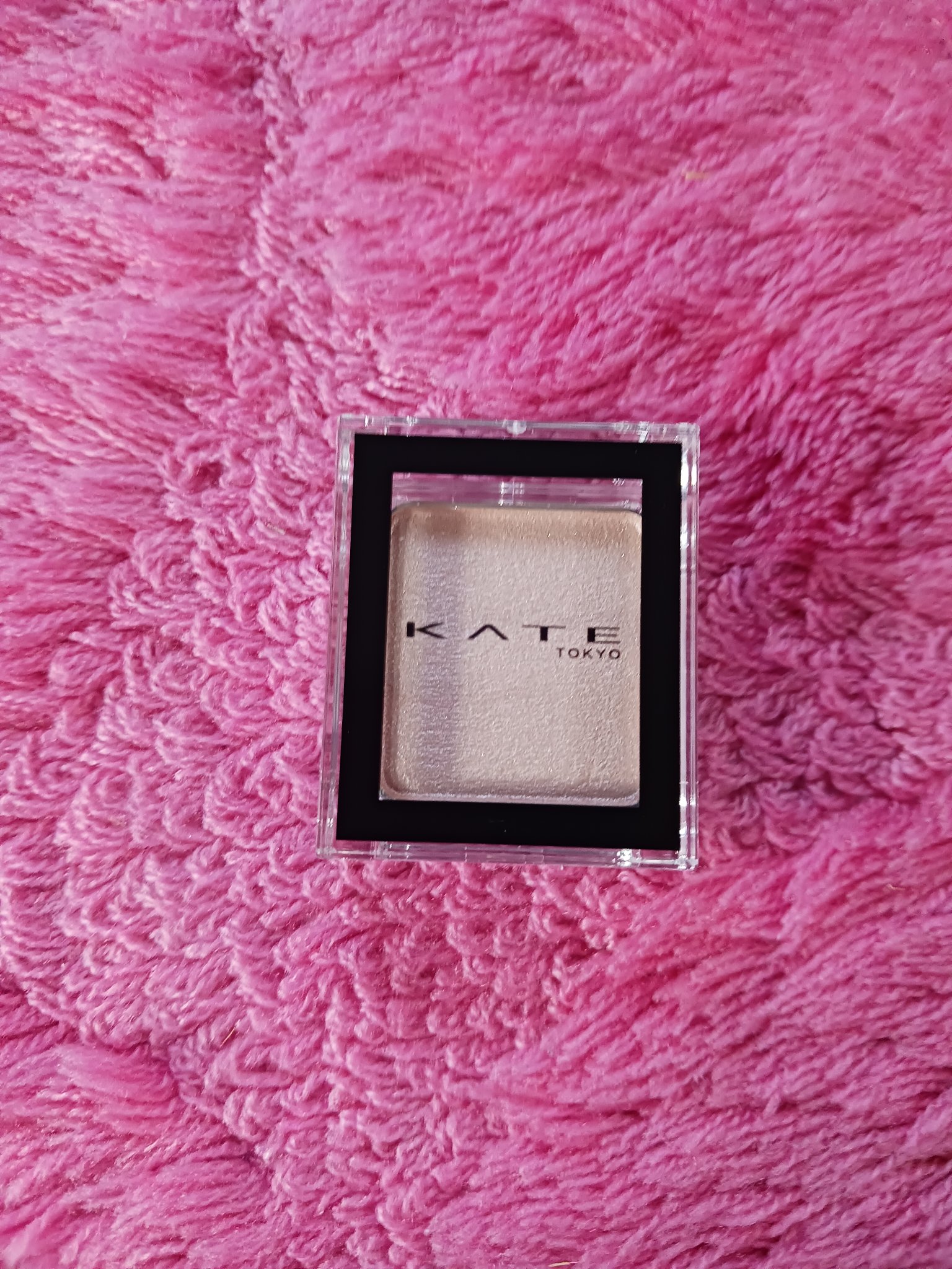 ケイト ザ アイカラー P201 ウォームホワイト(Web限定)/KATE/単色アイシャドウを使ったクチコミ（1枚目）