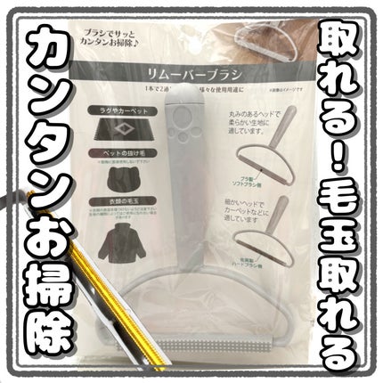 リムーバーブラシ MA-1704/キャンドゥ/その他を使ったクチコミ(1枚目)