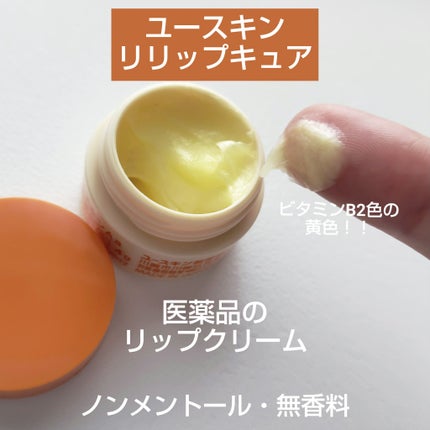 ユースキン メディカルリップクリーム (医薬品)/ユースキン/その他を使ったクチコミ(1枚目)