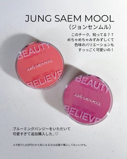アーティストクッションブラッシュ/JUNG SAEM MOOL/リキッドチークを使ったクチコミ(2枚目)