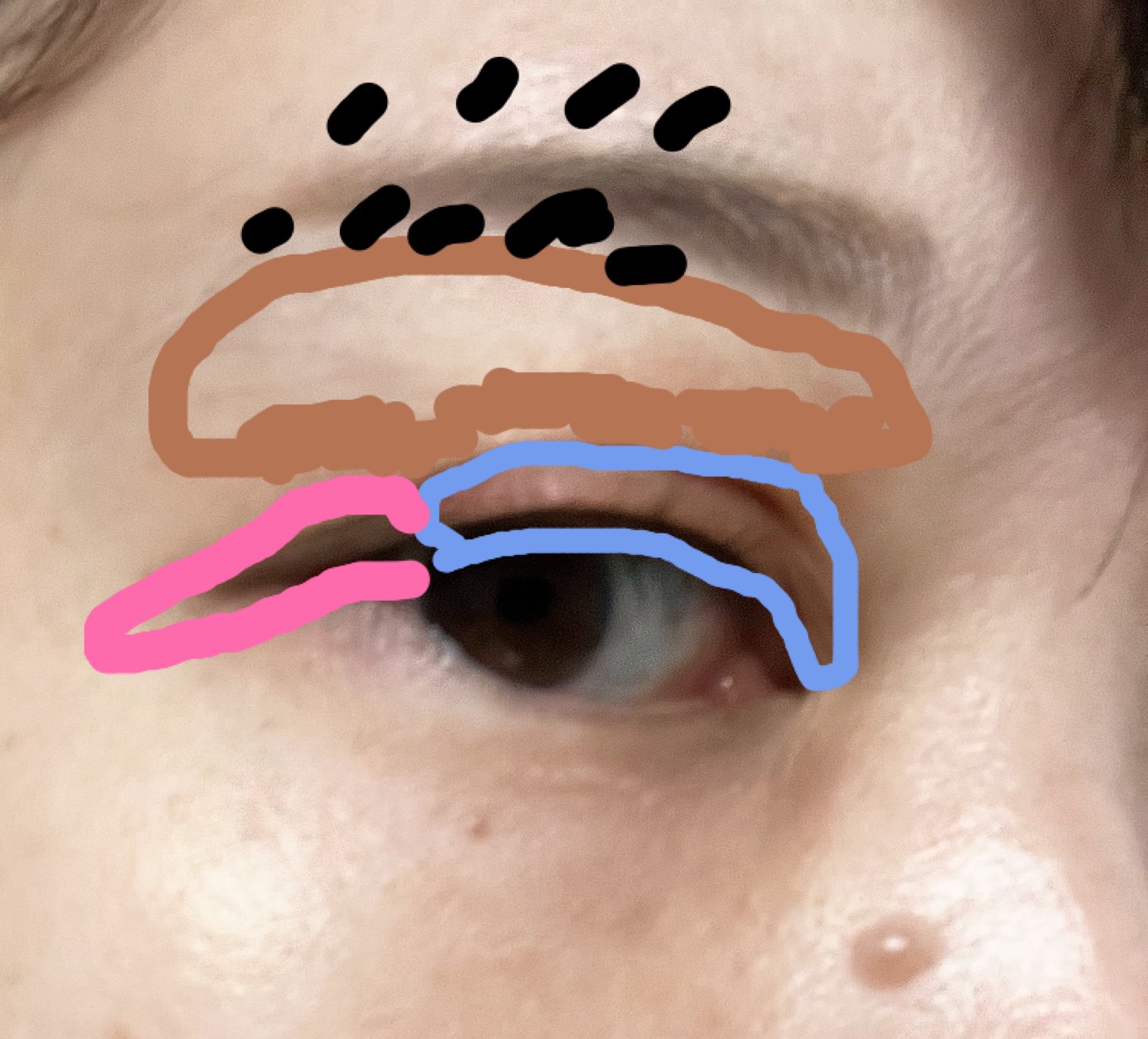 ワンダー エバー アイシャドウ/リンメル ロンドン/アイシャドウパレットを使ったクチコミ（2枚目）