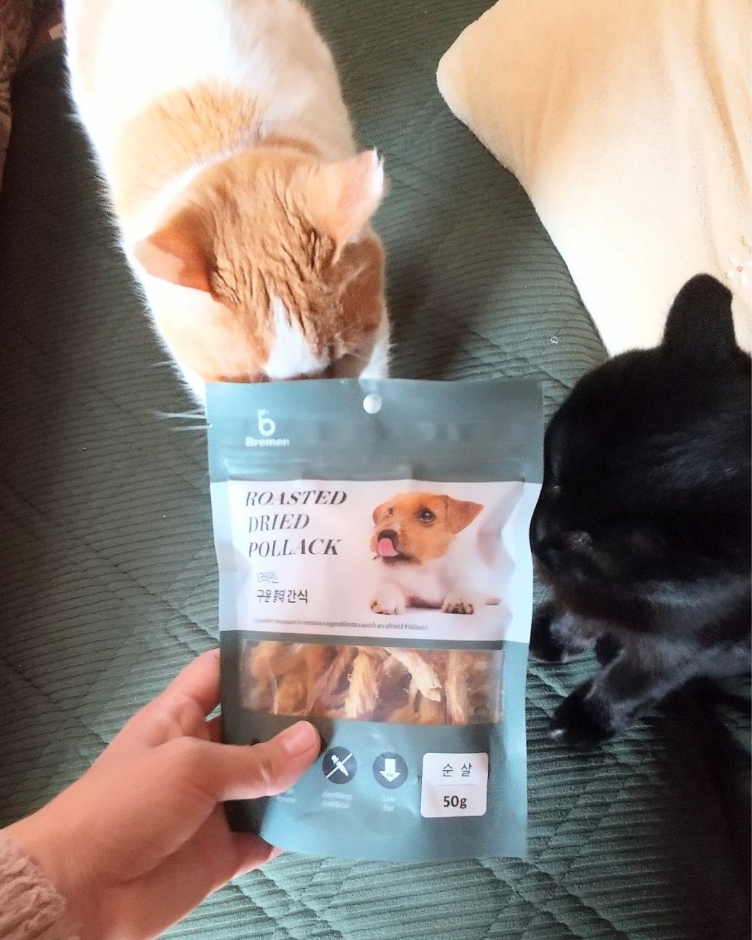 ヨナ フォロバ100 on LIPS 「Bremen・ペット&人兼用 、 焼きスケトウダラおやつ(5..」(2枚目)