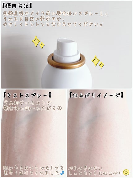 CNP ダーマアンサー AZ ミスト/CNP Laboratory/ミスト状化粧水を使ったクチコミ(2枚目)