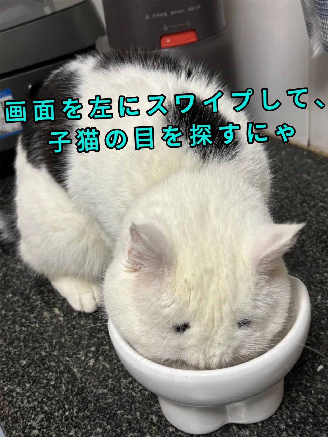 アネトス バランシング トリートメントクリーム/Anetos/フェイスクリームを使ったクチコミ(2枚目)