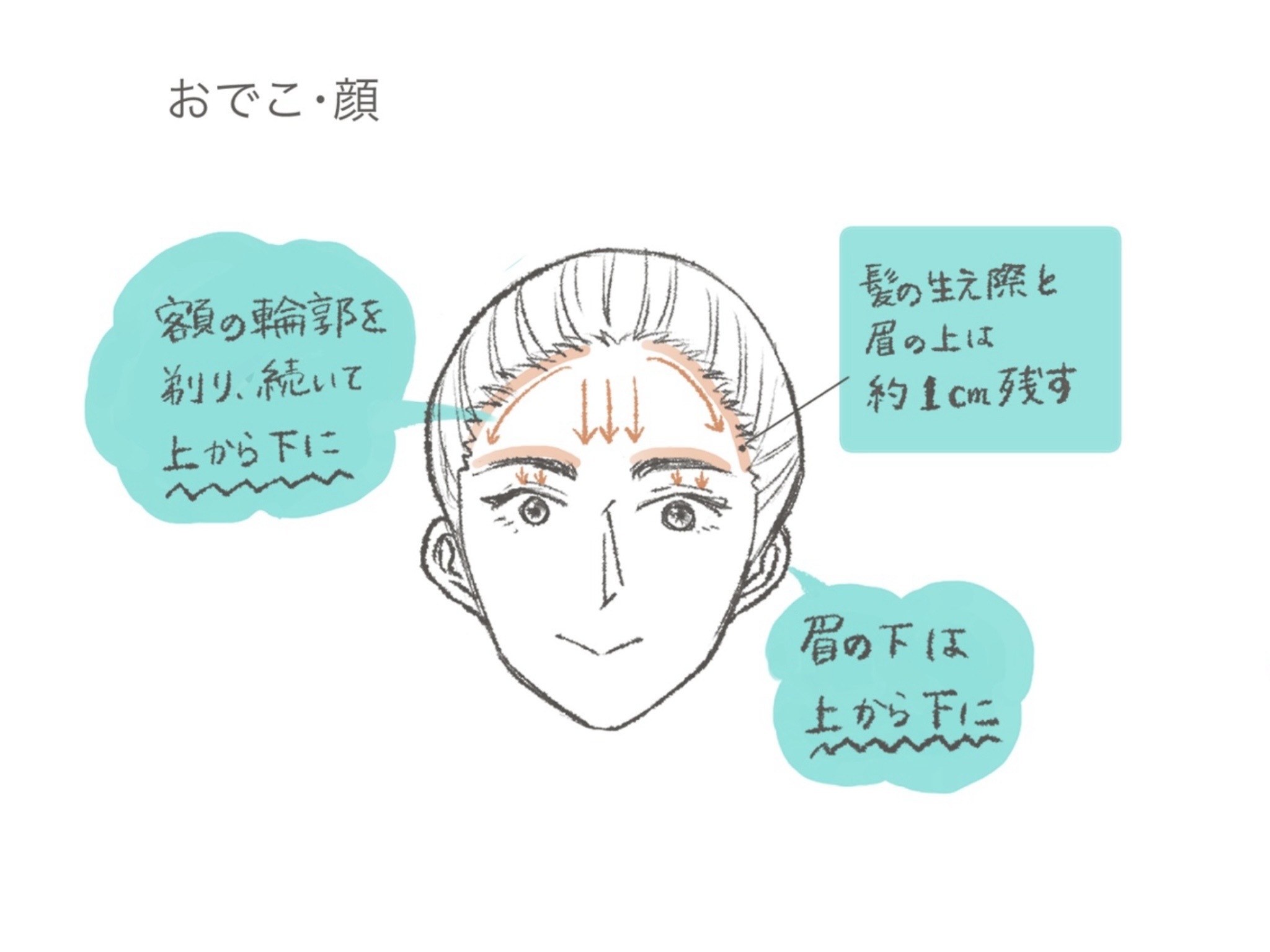 プリティー 敏感肌用フェイスL 3本入/貝印/シェーバーを使ったクチコミ（2枚目）