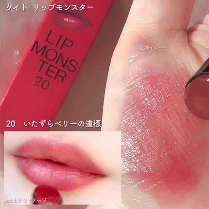 ケイト リップモンスター/KATE/口紅を使ったクチコミ(6枚目)