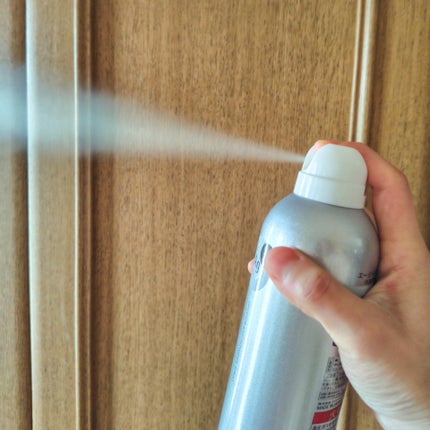 デオドラントスプレー(無香性)/エージーデオ24/デオドラント・制汗剤を使ったクチコミ(5枚目)