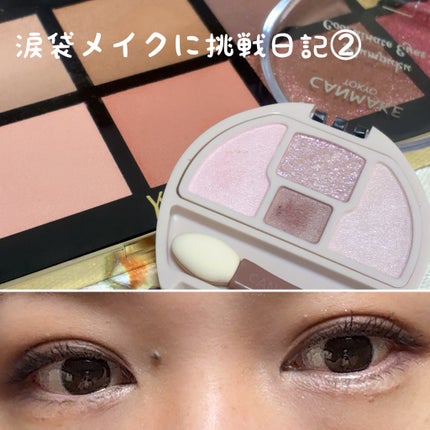 プランぷくコーデアイズNeo/キャンメイク/アイシャドウを使ったクチコミ(1枚目)