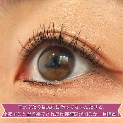 「塗るつけまつげ」自まつげ際立てタイプ/デジャヴュ/マスカラを使ったクチコミ(4枚目)