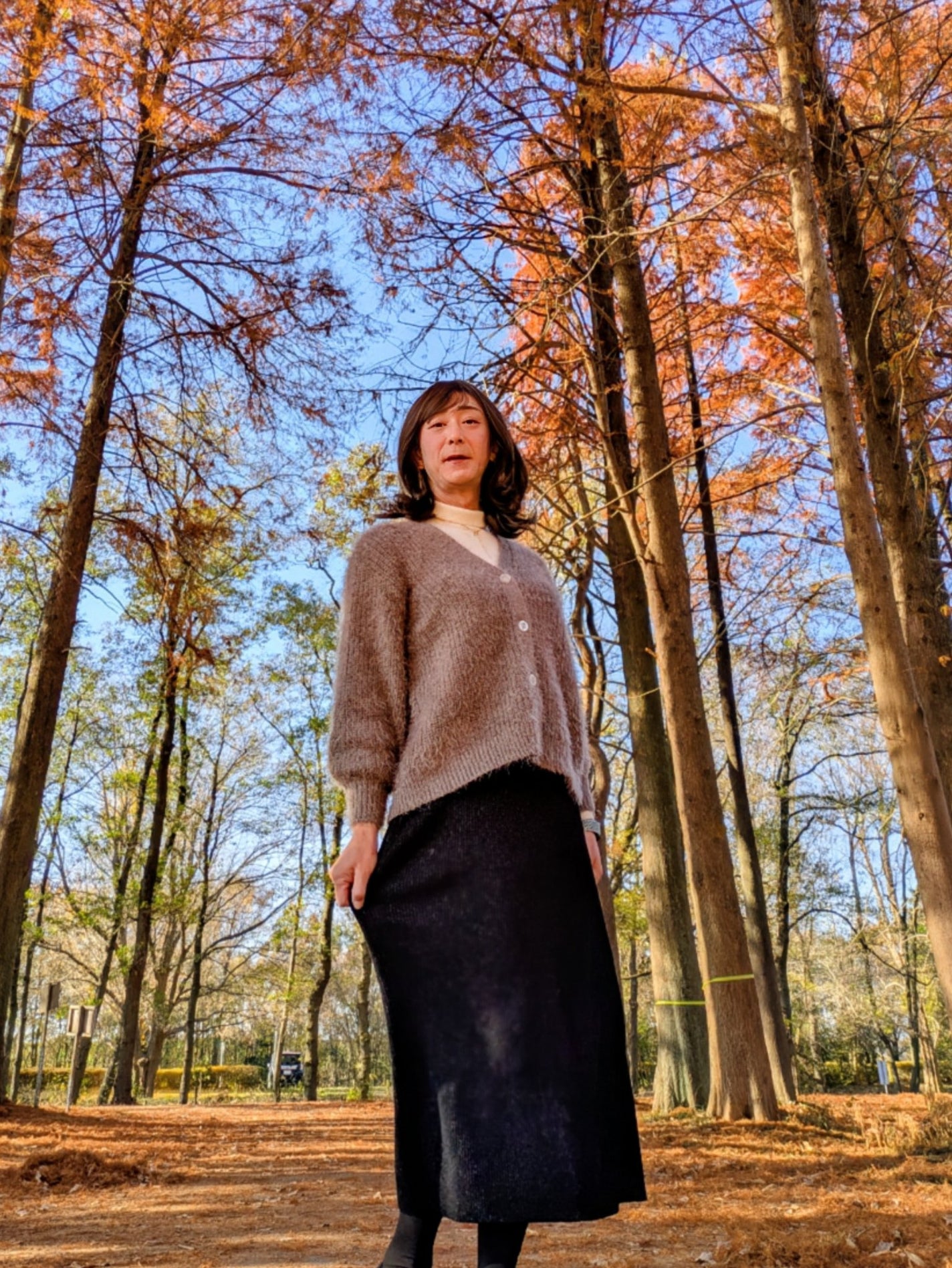 ラスティング リップカラーN/CEZANNE/口紅を使ったクチコミ(3枚目)