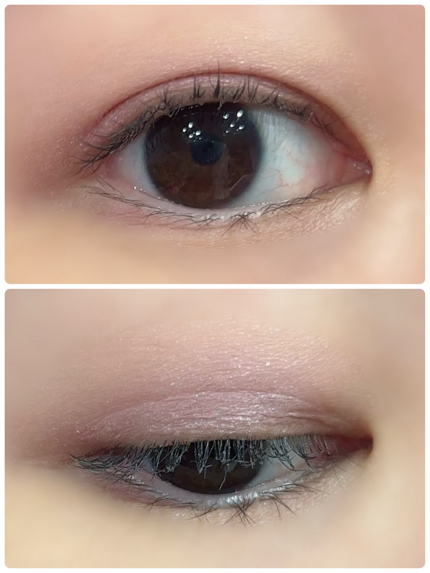 ケイト ポッピングシルエットシャドウ/KATE/アイシャドウパレットを使ったクチコミ(2枚目)