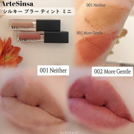 シルキーブラーティント/ArteSinsa/口紅を使ったクチコミ(4枚目)