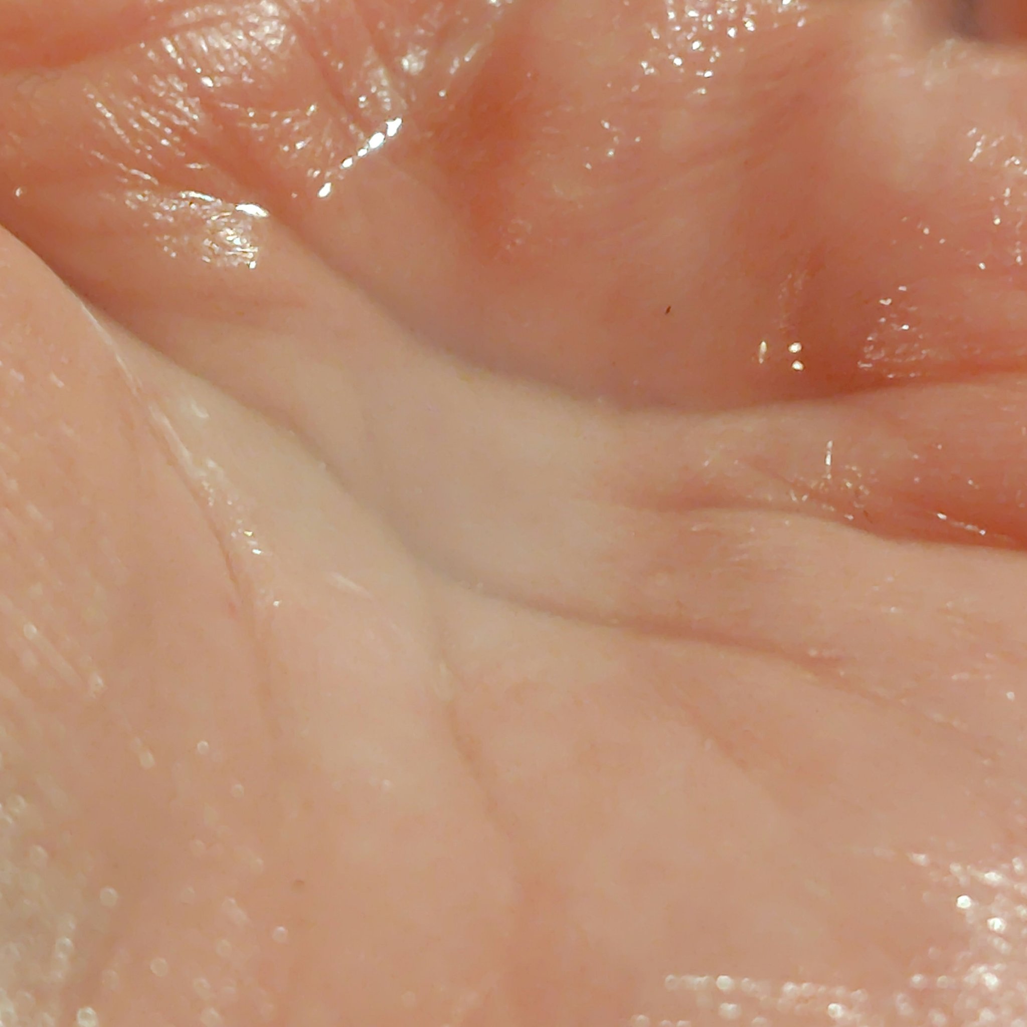 ＡＱ　アブソリュート ローション ハイドロインフューズ Ⅱ/DECORTÉ/化粧水を使ったクチコミ（3枚目）