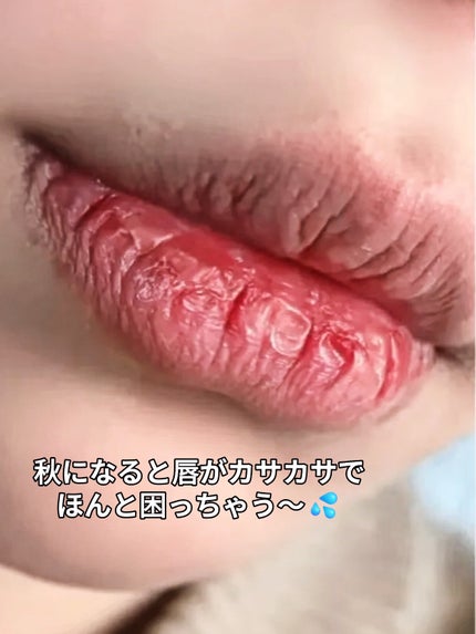 リップスリーピングマスク/LANEIGE/リップバームを使ったクチコミ(2枚目)