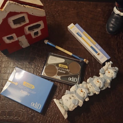 ヘアコンシーラーパレット&アーティスト デュアルブラシ/odiD/その他スタイリングを使ったクチコミ(1枚目)