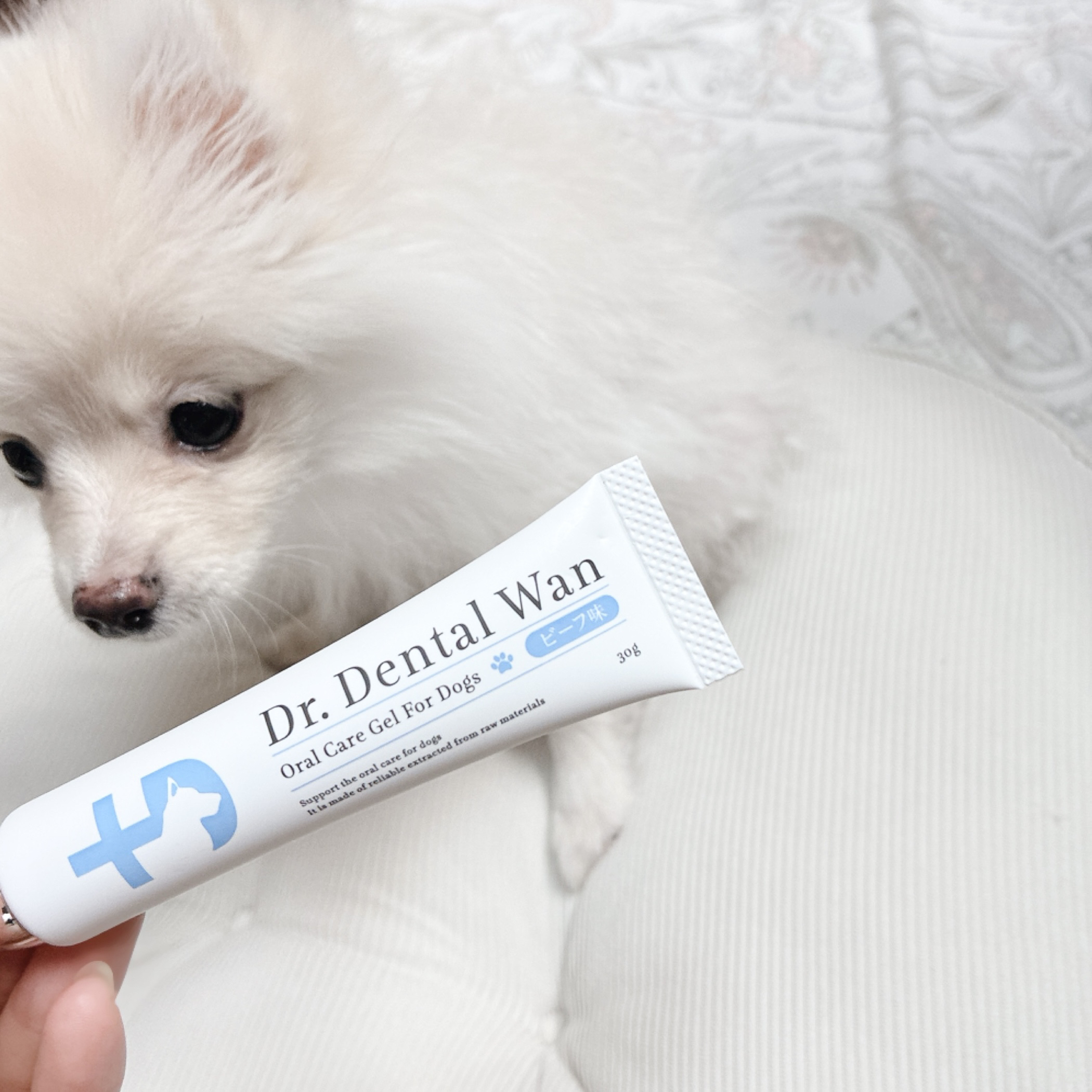 ドクターデンタルワン/サンテミナ/その他オーラルケアを使ったクチコミ（2枚目）