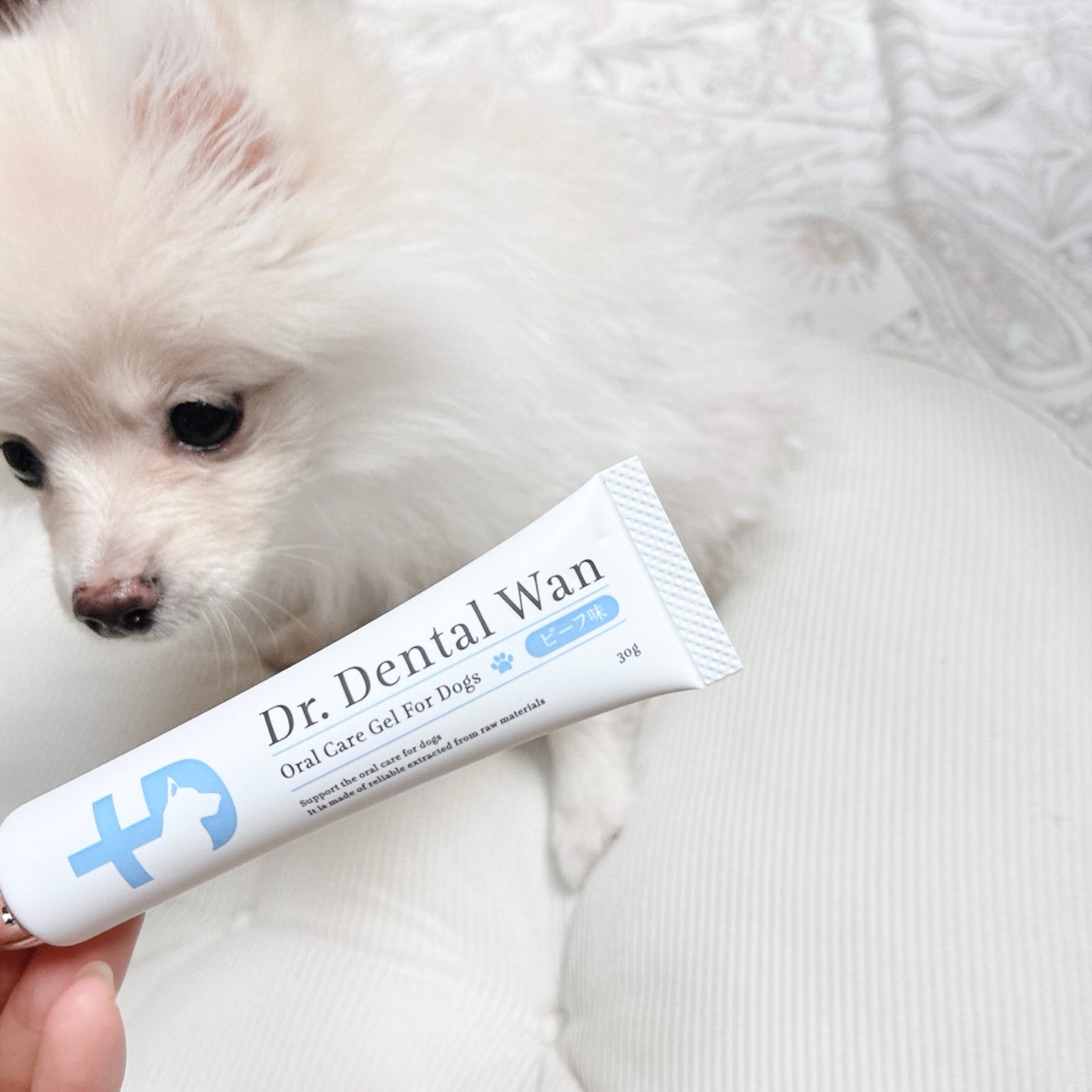 ドクターデンタルワン/サンテミナ/その他オーラルケアを使ったクチコミ(2枚目)