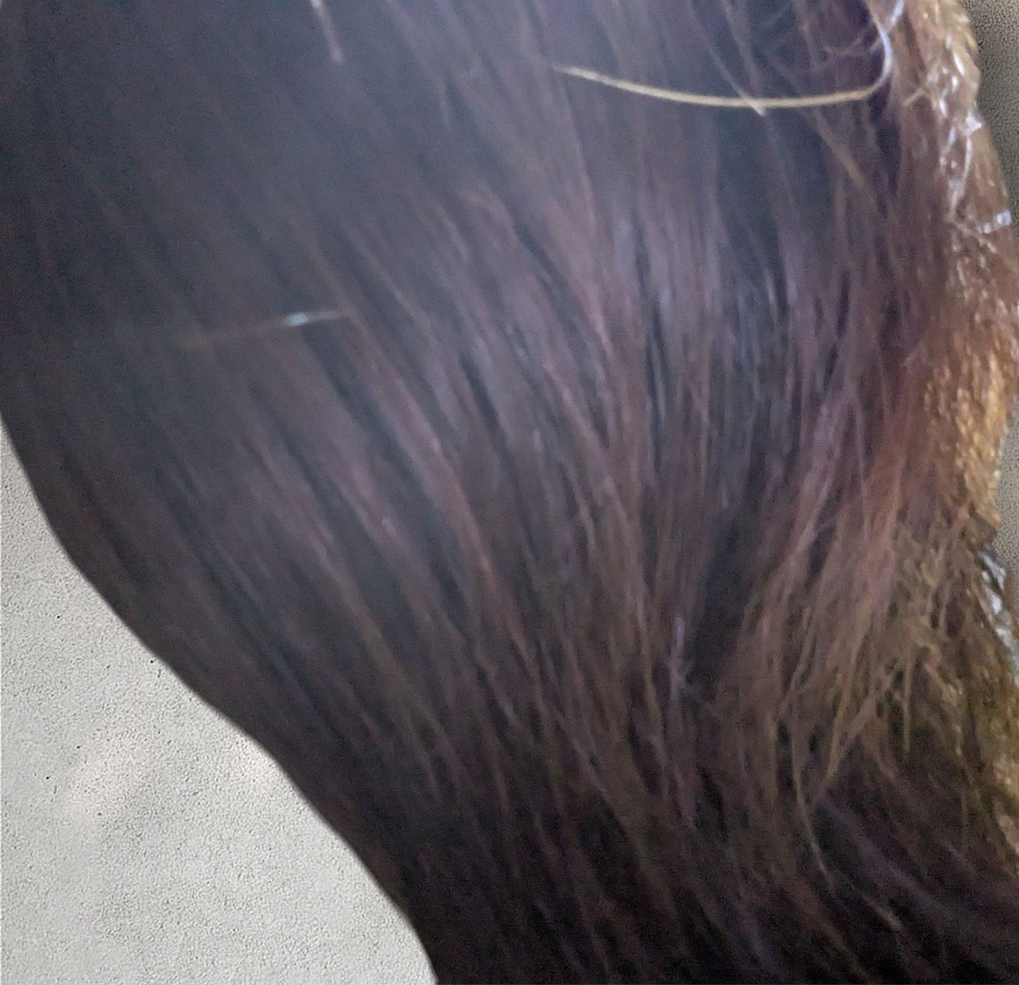 スーパーリッチクリスタル　マルチダメージリペア　シャンプー/トリートメント トリートメント　つめかえ用（300g）/LUX/市販シャンプーを使ったクチコミ（2枚目）