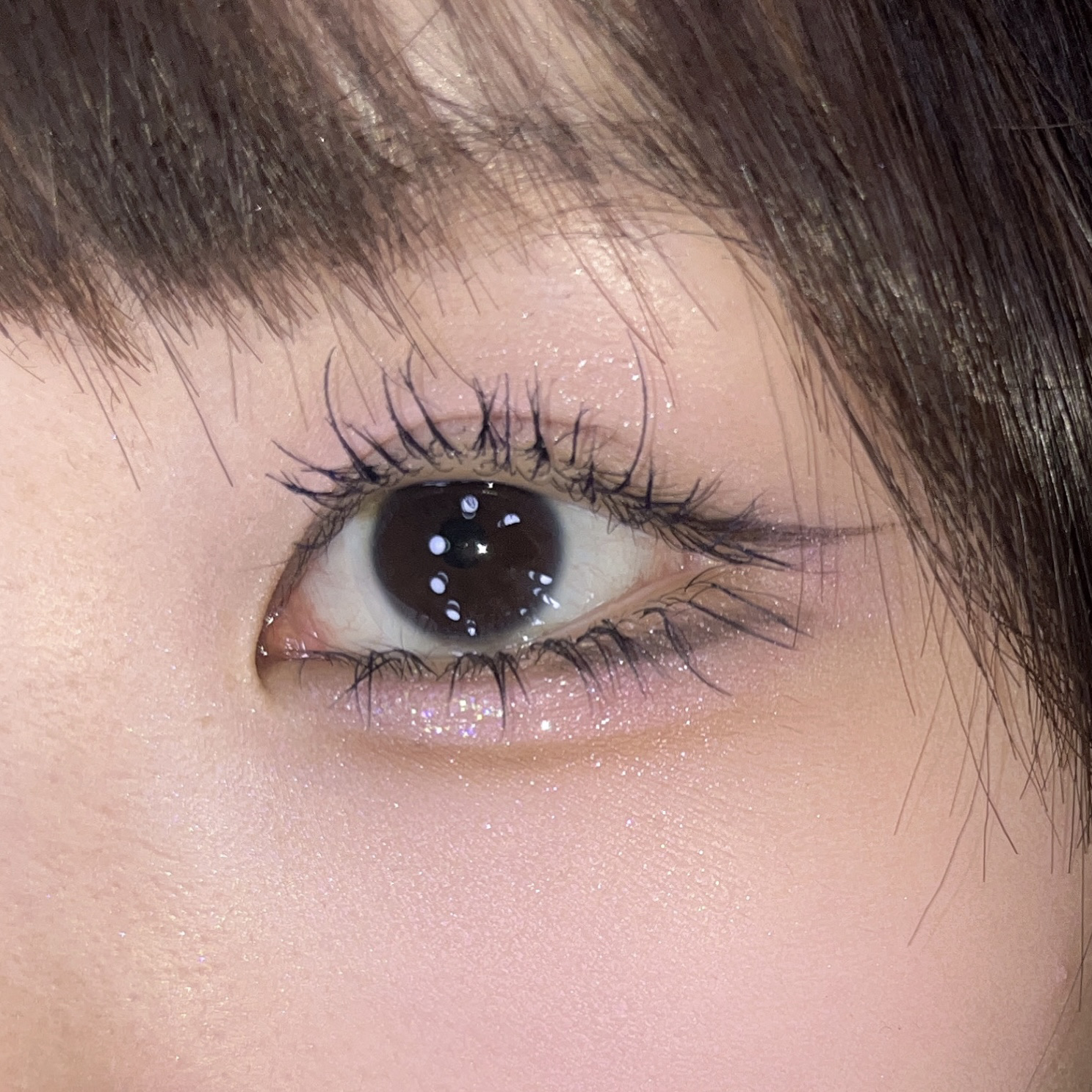 【昨日のメイク】気に入りすぎてずっとアイシャドウSUQQU笑笑

SUQQU メイクアップ キット 舜華
何日連続で使うのでしょうか笑笑

今日は友人とランチだったのですが、
目元がめちゃくちゃ綺麗で
「アイシャドウ何使ってますか？✨」
っ