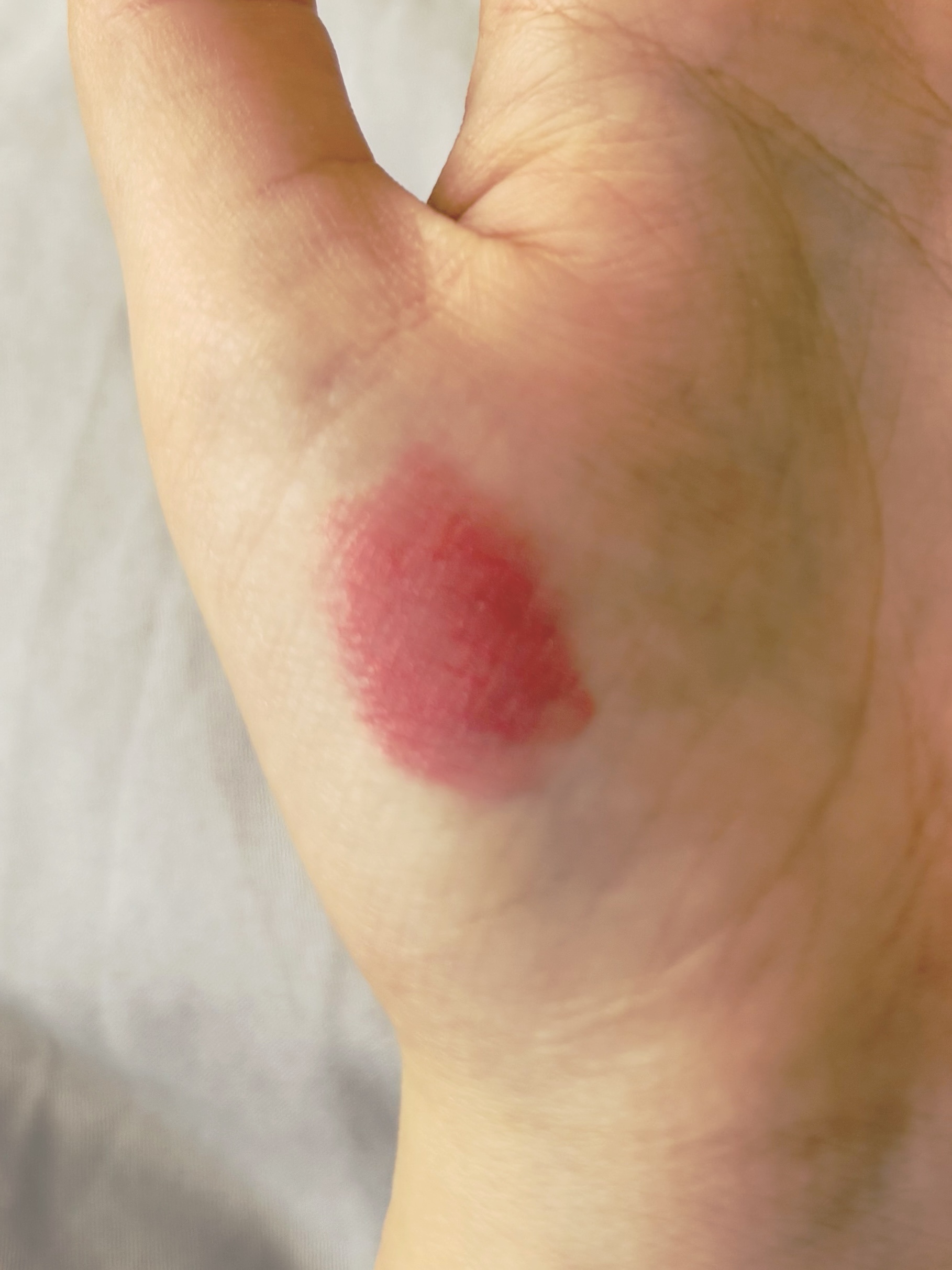 口紅（詰替用）/ちふれ/口紅を使ったクチコミ（3枚目）