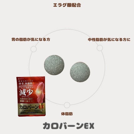 カロバーンEX/悩み解決ラボ/健康サプリメントを使ったクチコミ(2枚目)