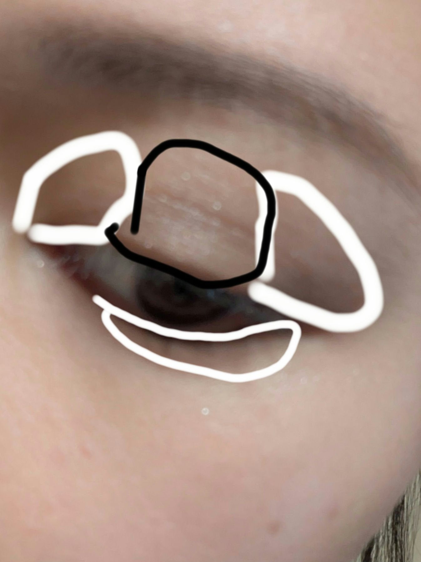 シングルカラーアイシャドウ/CEZANNE/単色アイシャドウを使ったクチコミ(2枚目)