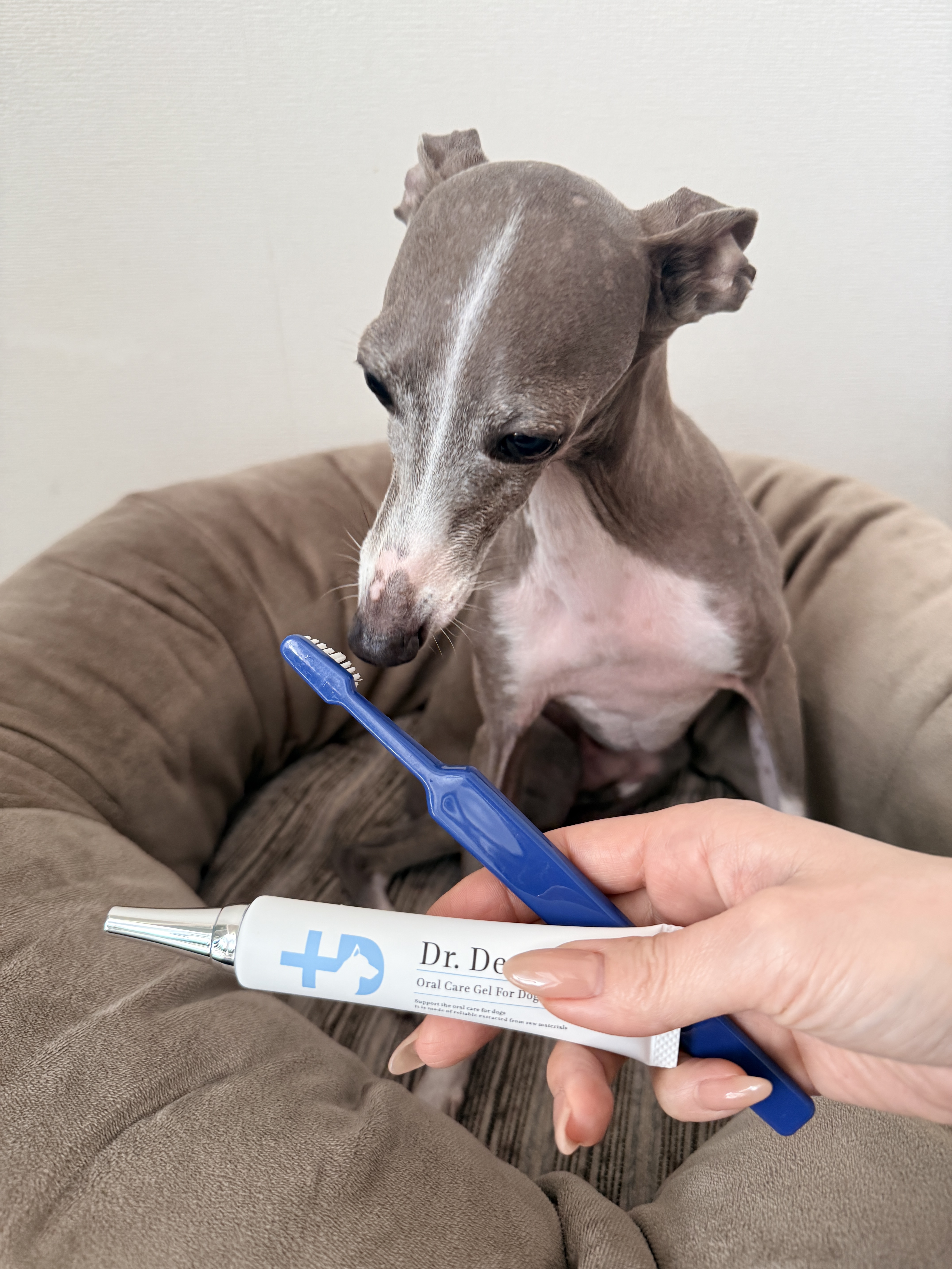 ドクターデンタルワン/サンテミナ/その他オーラルケアを使ったクチコミ（3枚目）