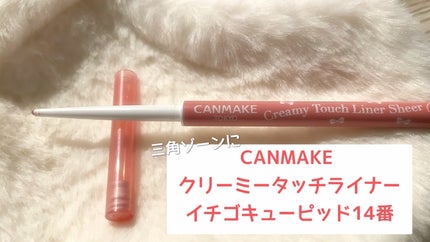 クリーミータッチライナー/キャンメイク/ジェルアイライナーを使ったクチコミ(1枚目)