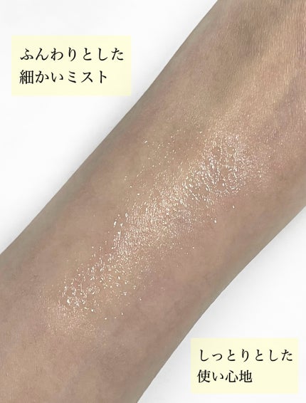 メイク キープ ミスト EX + モイスト TEA/コーセーコスメニエンス/フィックスミストを使ったクチコミ(5枚目)
