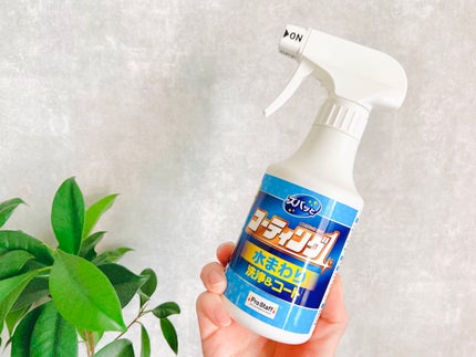 ズバッとコーティング1スプレー 水まわり用/プロスタッフ/その他を使ったクチコミ(6枚目)
