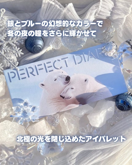エクスプローラ12色 動物アイシャドウパレット/PERFECT DIARY/アイシャドウパレットを使ったクチコミ(3枚目)