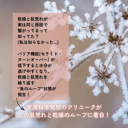 モイスチャー サージ グロウ リファイン セラム(美容液)/CLINIQUE/美容液を使ったクチコミ(2枚目)