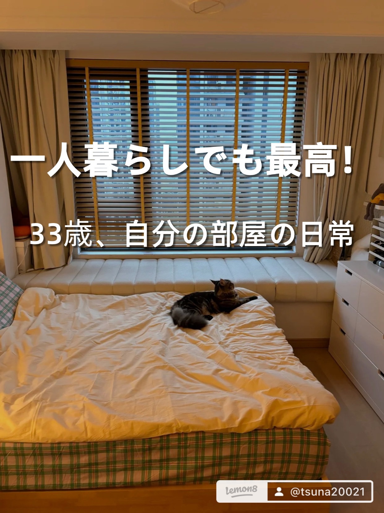 アネトス マイルド フェイシャル クレンザー/Anetos/洗顔フォームを使ったクチコミ（1枚目）