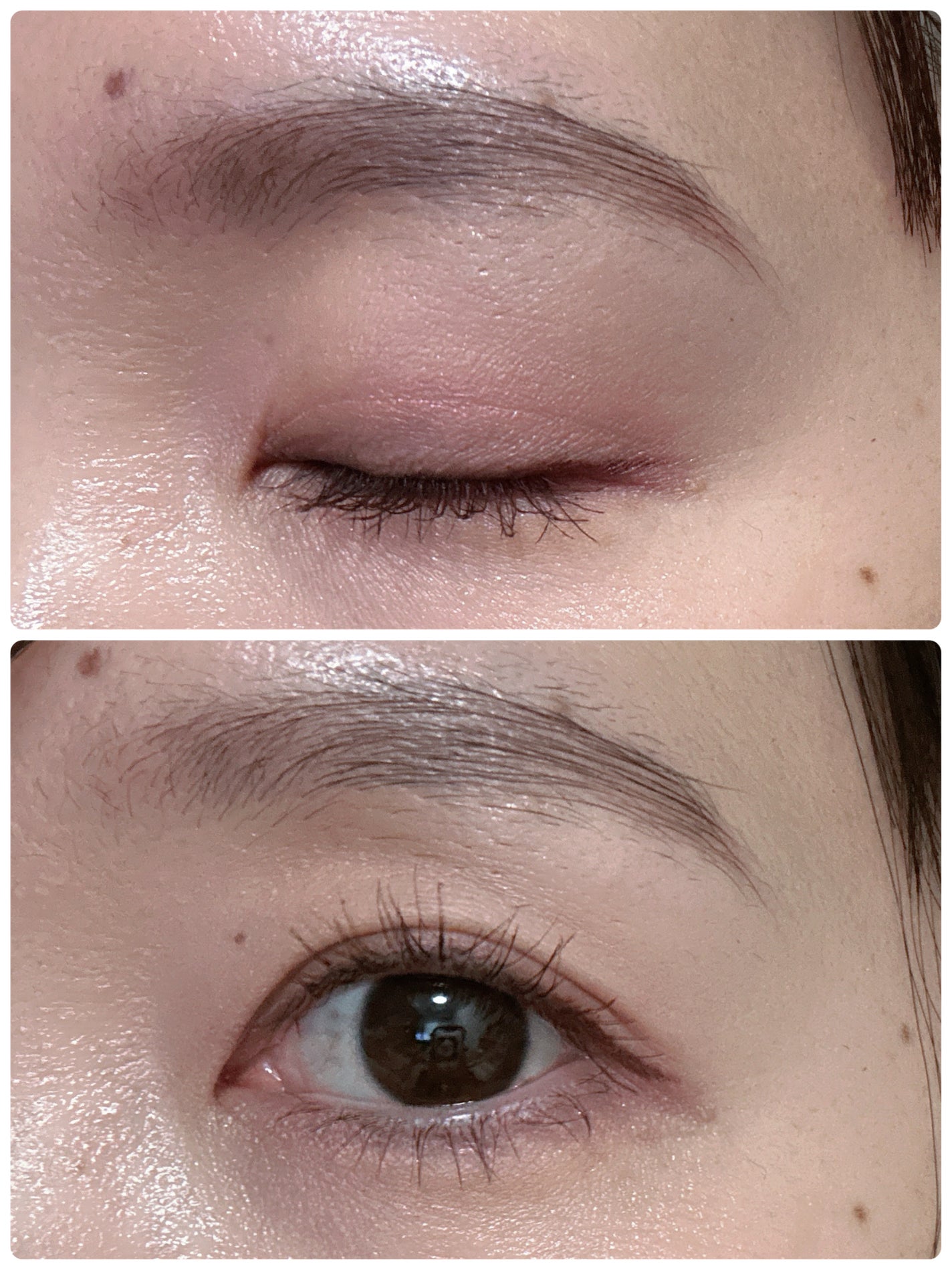 フローラアイパレット/AMUSE/アイシャドウを使ったクチコミ(3枚目)