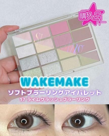 ソフトブラーリングアイパレット/wakemake/アイシャドウパレットを使ったクチコミ(1枚目)