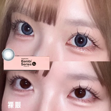 Angelcolor Bambi Series 1day スワンブルー/AngelColor/ワンデー(1DAY)カラコンの画像