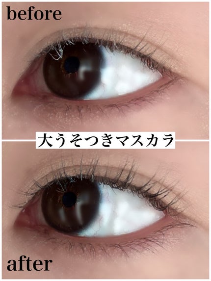 うそつき美束マスカラ 透け感ブラック/pdc/マスカラを使ったクチコミ(3枚目)