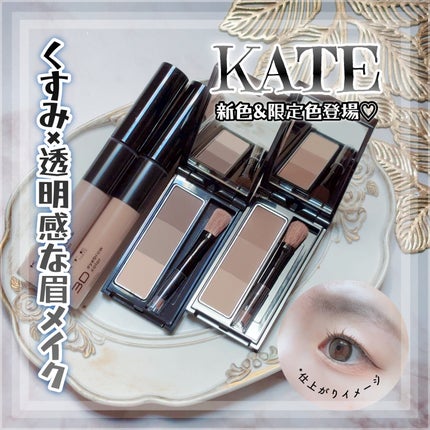 ケイト デザイニングアイブロウ3D/KATE/パウダーアイブロウを使ったクチコミ(1枚目)