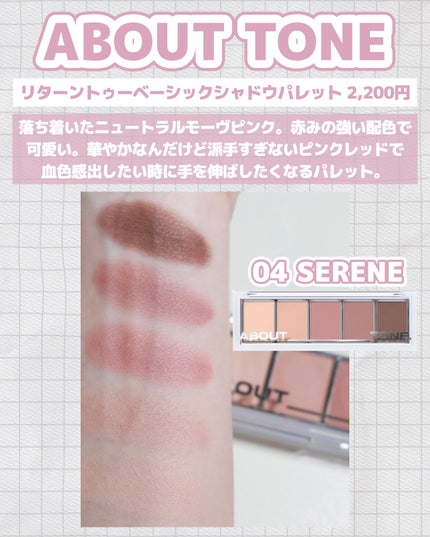 リターントゥーベーシックシャドウパレット/ABOUT TONE/アイシャドウパレットを使ったクチコミ(5枚目)