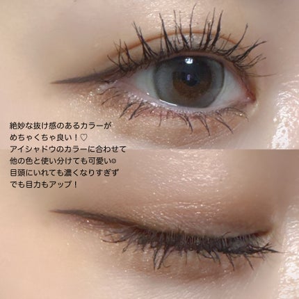 シルキーリキッドアイライナーWP シフォンブラウン/D-UP/リキッドアイライナーの画像