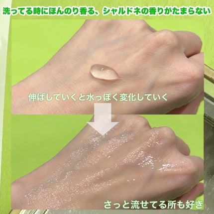 ジェルトゥウォーター クレンザー(CH)/LAGOM /その他洗顔料を使ったクチコミ(4枚目)