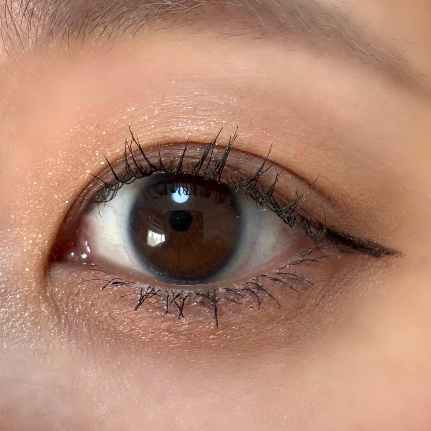 ケイト メロウブラウンアイズ/KATE/アイシャドウパレットを使ったクチコミ(4枚目)