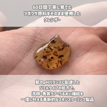 フィトリリーフシカジェルクレンザー/THANK YOU FARMER/その他洗顔料を使ったクチコミ(2枚目)