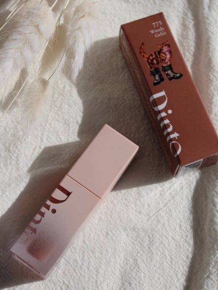 Blur-Jelly Plumping Lip Tint/Dinto/リップティントを使ったクチコミ(2枚目)